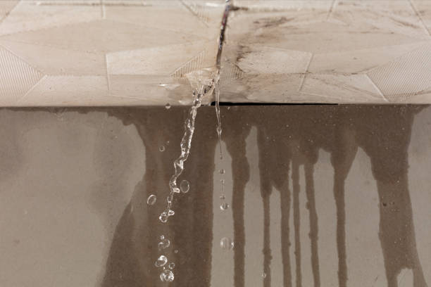 Professional Structural Drying technician working in Ridgeway, VA